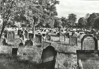 Judenfriedhof - Der &quot;Heilige Sand&quot; - Worms